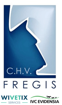Logo Fregis.png