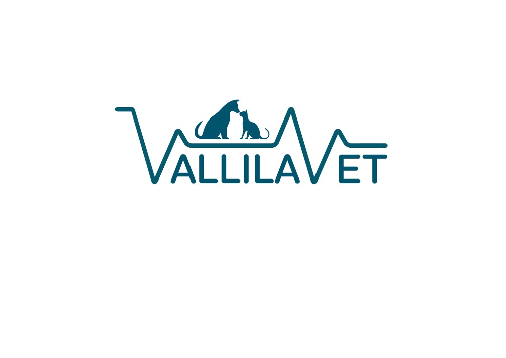 vallila.jpg