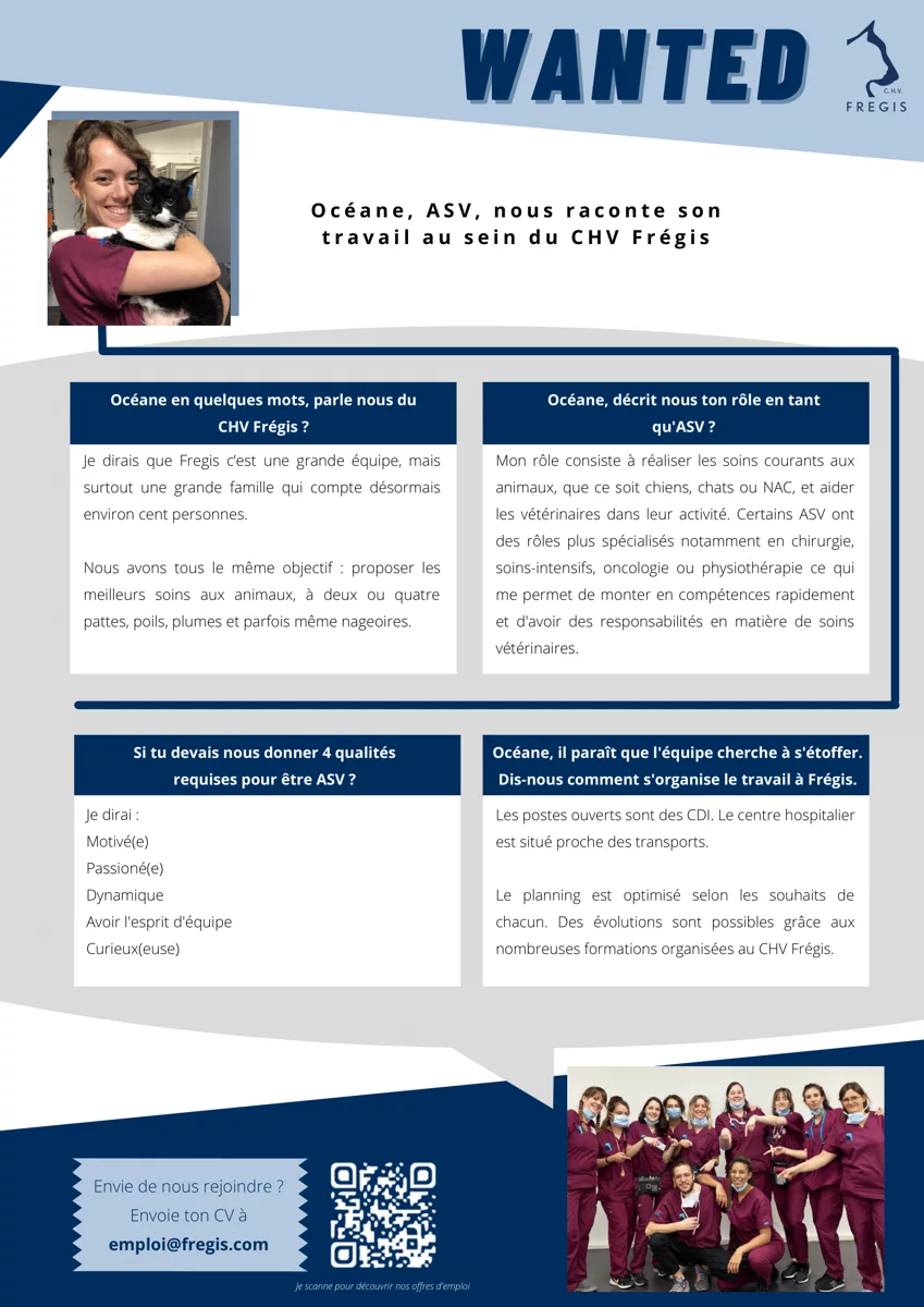 Flyer WANTED ASV CDI (1)-1.png