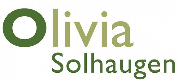 Stor logo Solhaugen.jpg