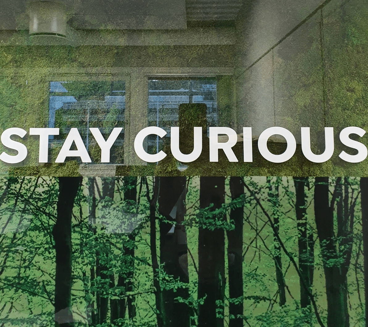Stay curious.jpg