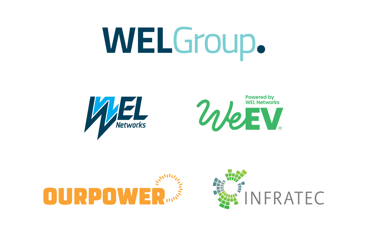 WEL Group Snapshot.jpg