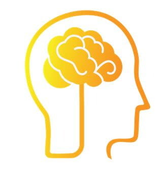 brain.JPG