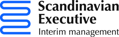 Scandinavian Executive logotype