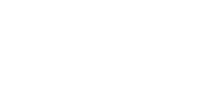 Duett AS logotype