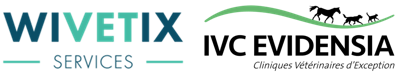 WIVETIX Services logotype