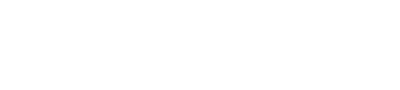 Net Insight logotype