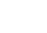 CEVT logotype