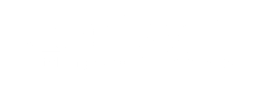 Netset logotype