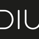 DIU - DI Unternehmer logotype
