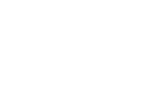 Saltyco logotype