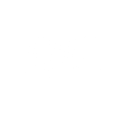 WEL Networks logotype