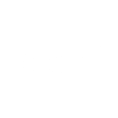 Badi logotype