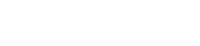 Litium logotype