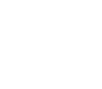 RevolutionRace logotype