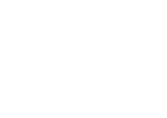 Profit Software  logotype