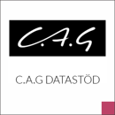 C.A.G Datastöd logotype