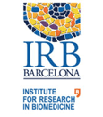 IRB Barcelona logotype