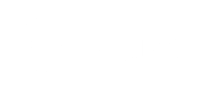 Digizer Oy logotype