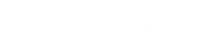 Net Insight logotype