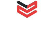 Wise Security Global logotype