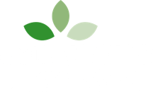 Jacksons Trädvård career site