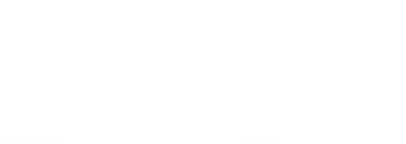 Bold logotype