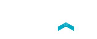 Netgain logotype