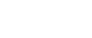 Net Group logotype