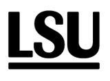 LSU - Sveriges ungdomsorganisationer