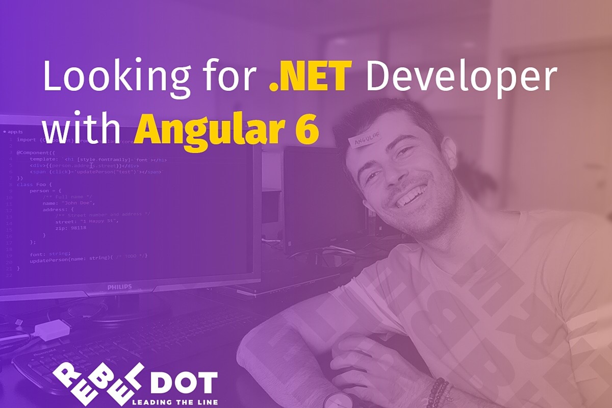 .NET Developer (Angular 6) - Cluj/Oradea Office