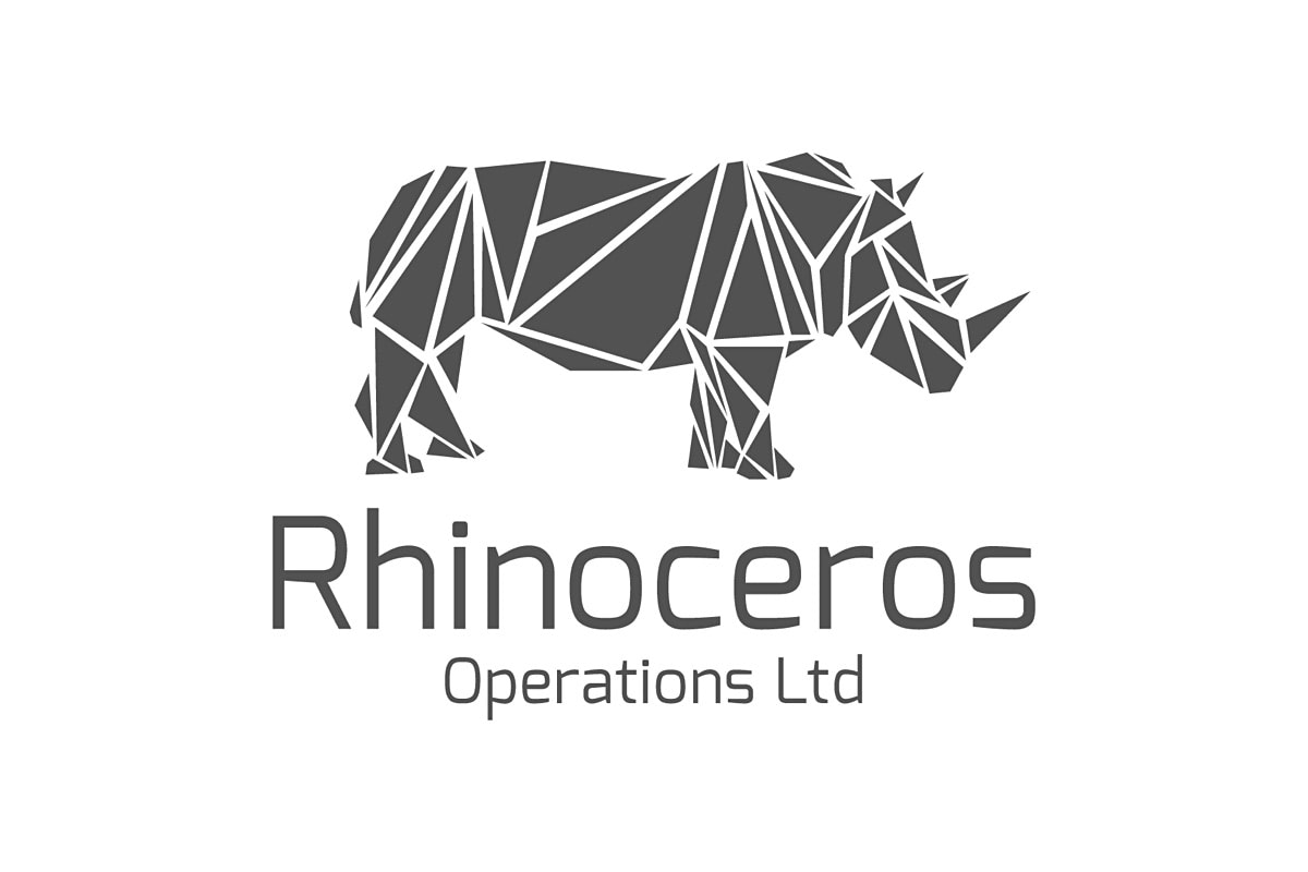 Payments Risk Analyst Rhinoceros Group