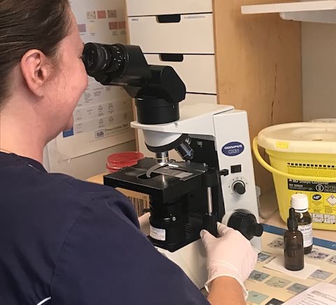 Sommarjobb - Biomedicinsk Analytiker, BMA