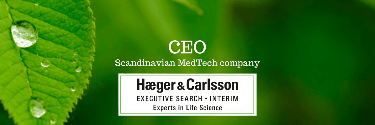 CEO - Scandinavian MedTech Company