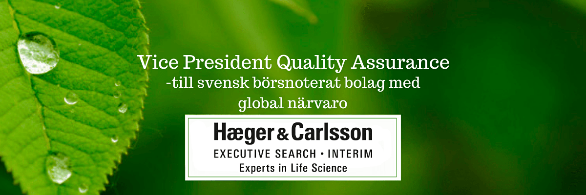 Vice President Quality Assurance - Interimsuppdrag