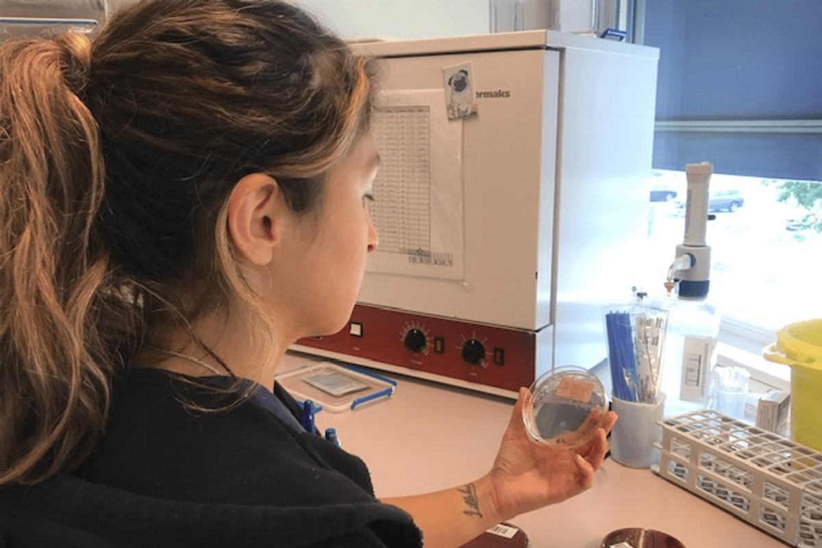 BMA - Biomedicinsk Analytiker