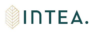 Koncerncontroller till Intea
