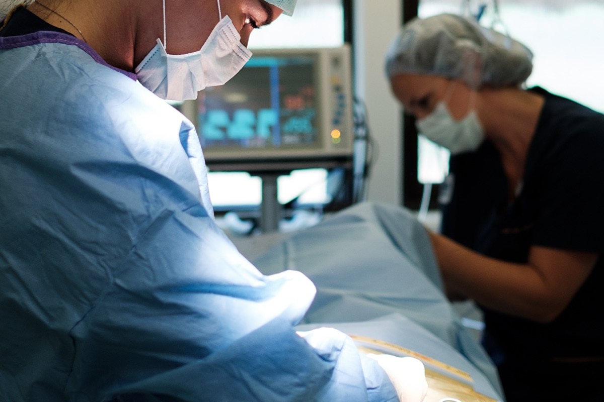 Leg. Veterinär Linköping/Östergötland