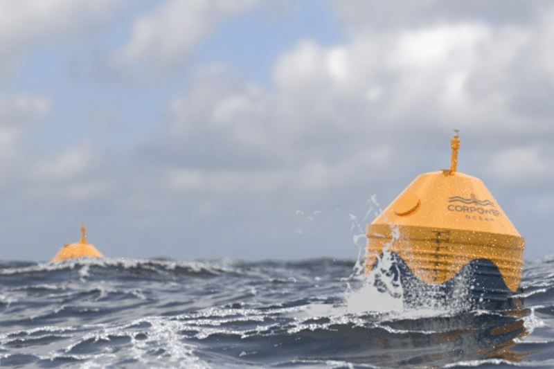 Brand and Marketing Manager - Wave Energy image
