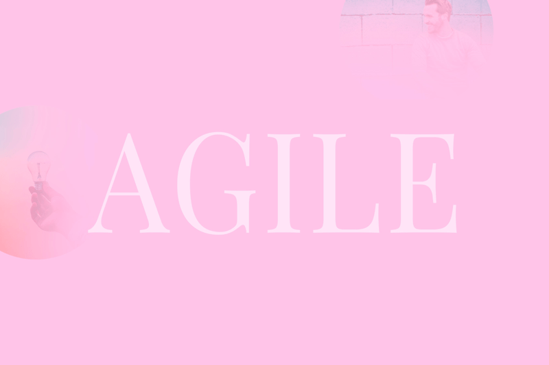 Lean-Agile Coach image