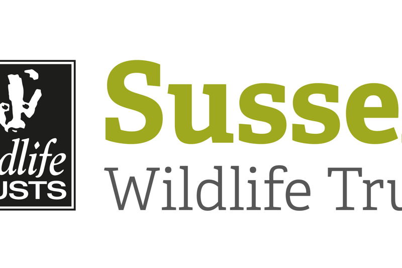 Trustee -  Sussex Wildlife Trust image