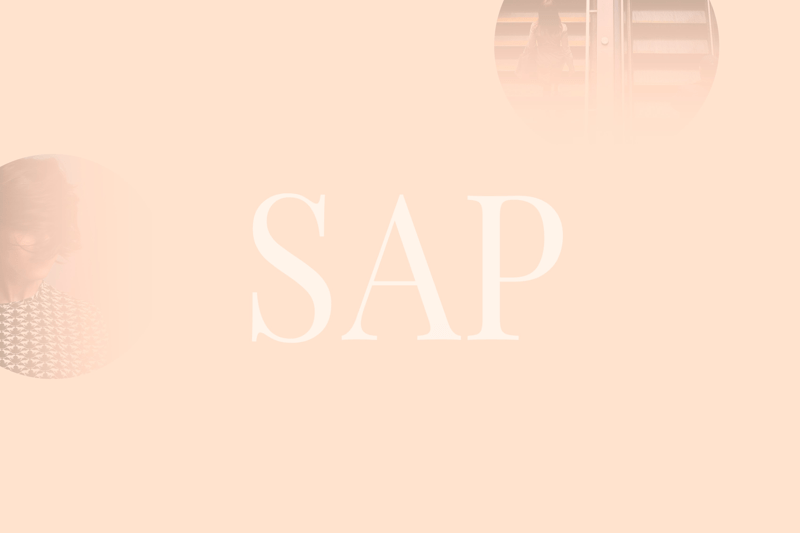 Utvecklare på SAP-plattformen image