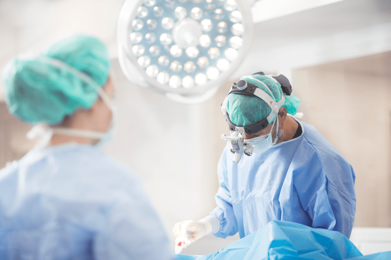 AniCura Veterinärhuset Ängelholm söker veterinär med kirurgikompetens image