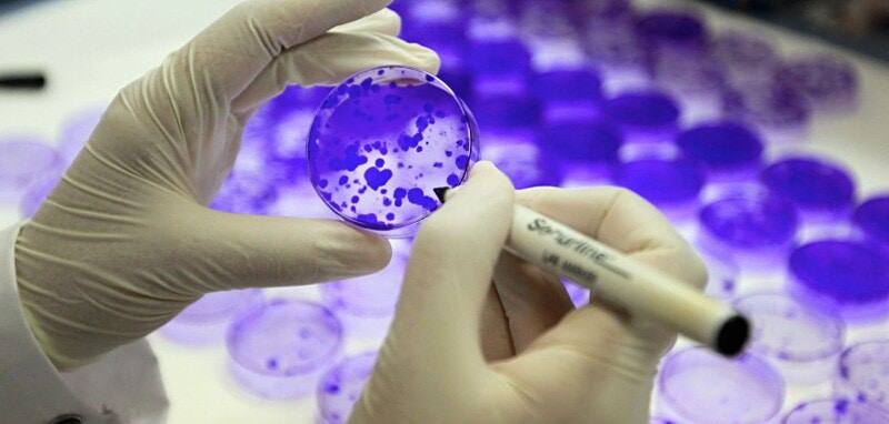 Postdoctoral Fellow in Stem Cell and Cancer Group (ref. PD/21/24) image