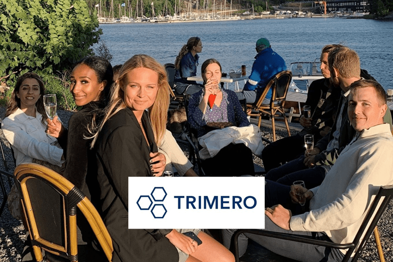 Lönekonsult till Trimero // Stockholm image