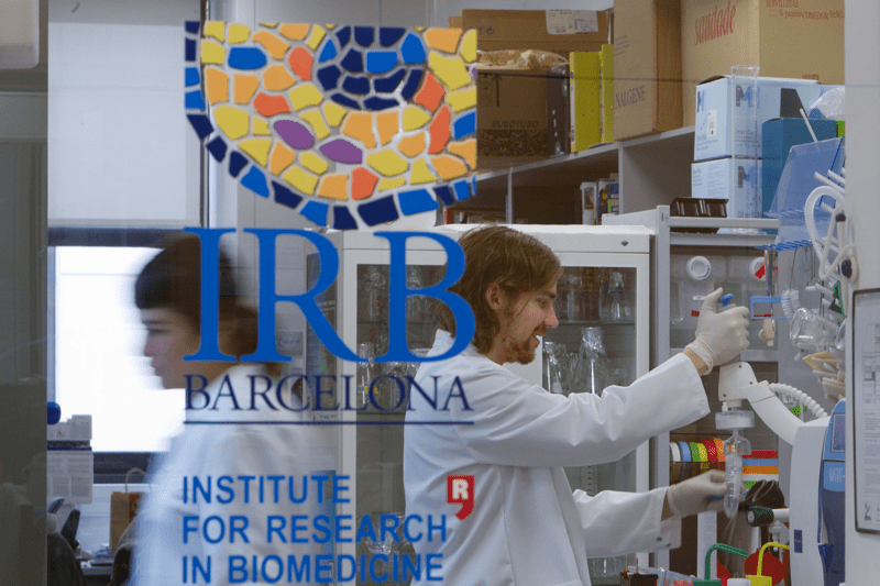 Postdoctoral Fellow for the MMB Group (ref. PD/21/11) image