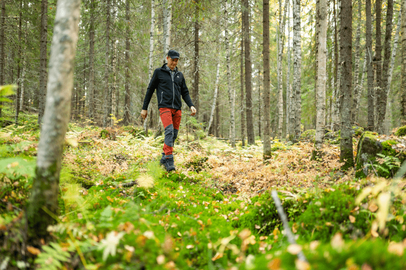 Mhy Etelä-Karjala: Metsäharjoittelijoita kesälle 2023 image