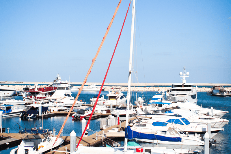 Marina Dockhand image