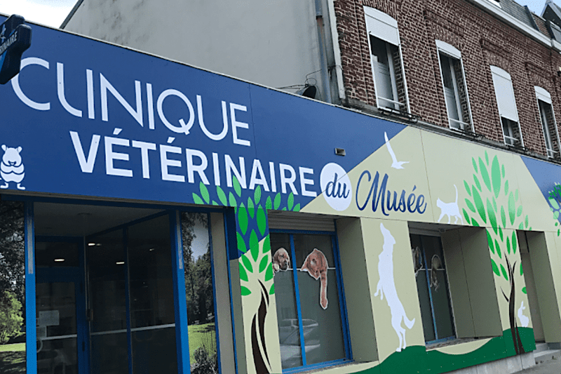 ANZIN - CLINIQUE DU MUSEE - VETERINAIRE CANIN APPETENCE NAC (H/F) image