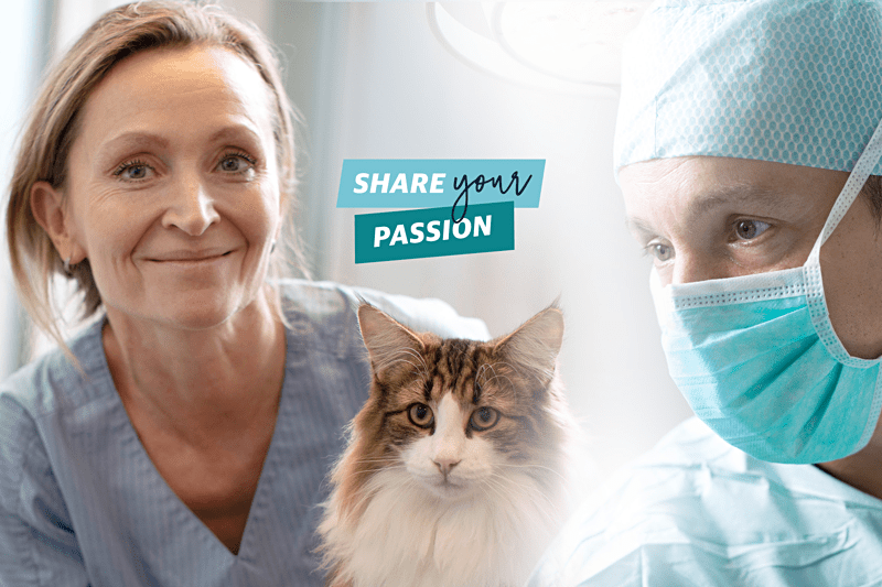Regional Medical Partner till AniCura region Stockholm image